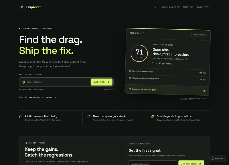 ShipAudit homepage showing its website audit form and example report